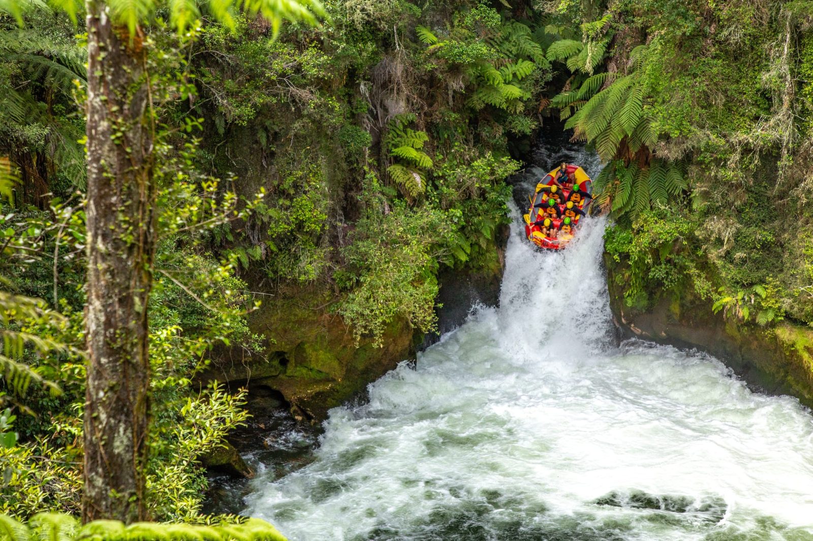 Okere Falls Zipline Adventure Experience