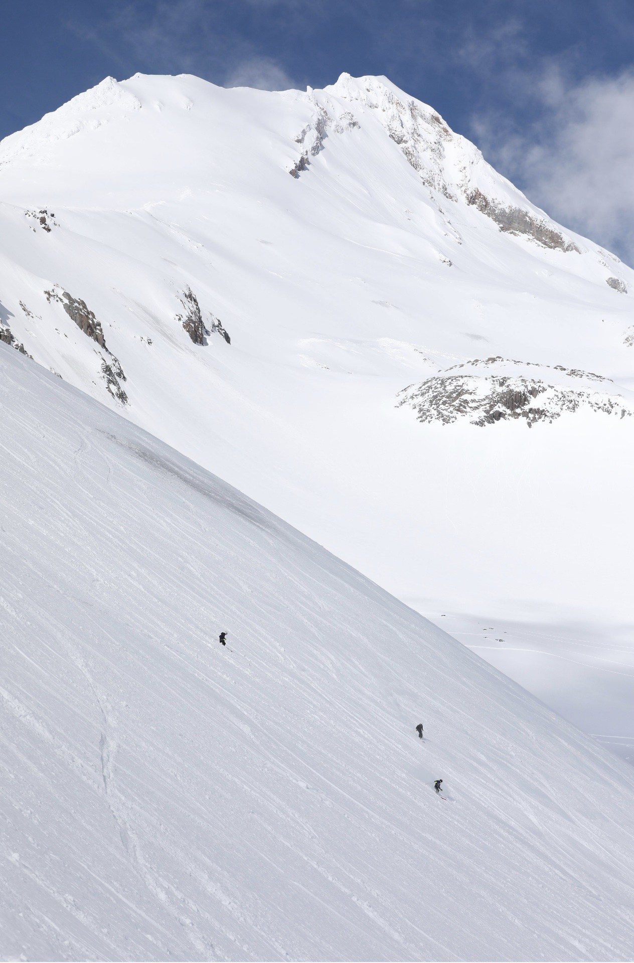 Mt. Hood Meadows