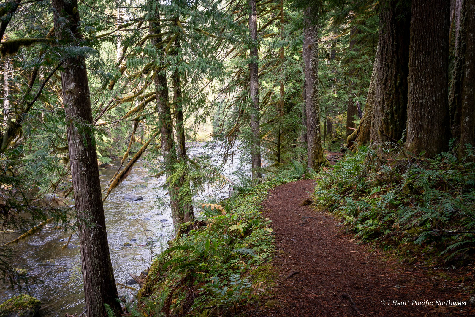Old Salmon River Trail