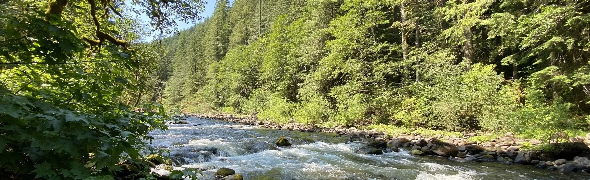 Old Salmon River