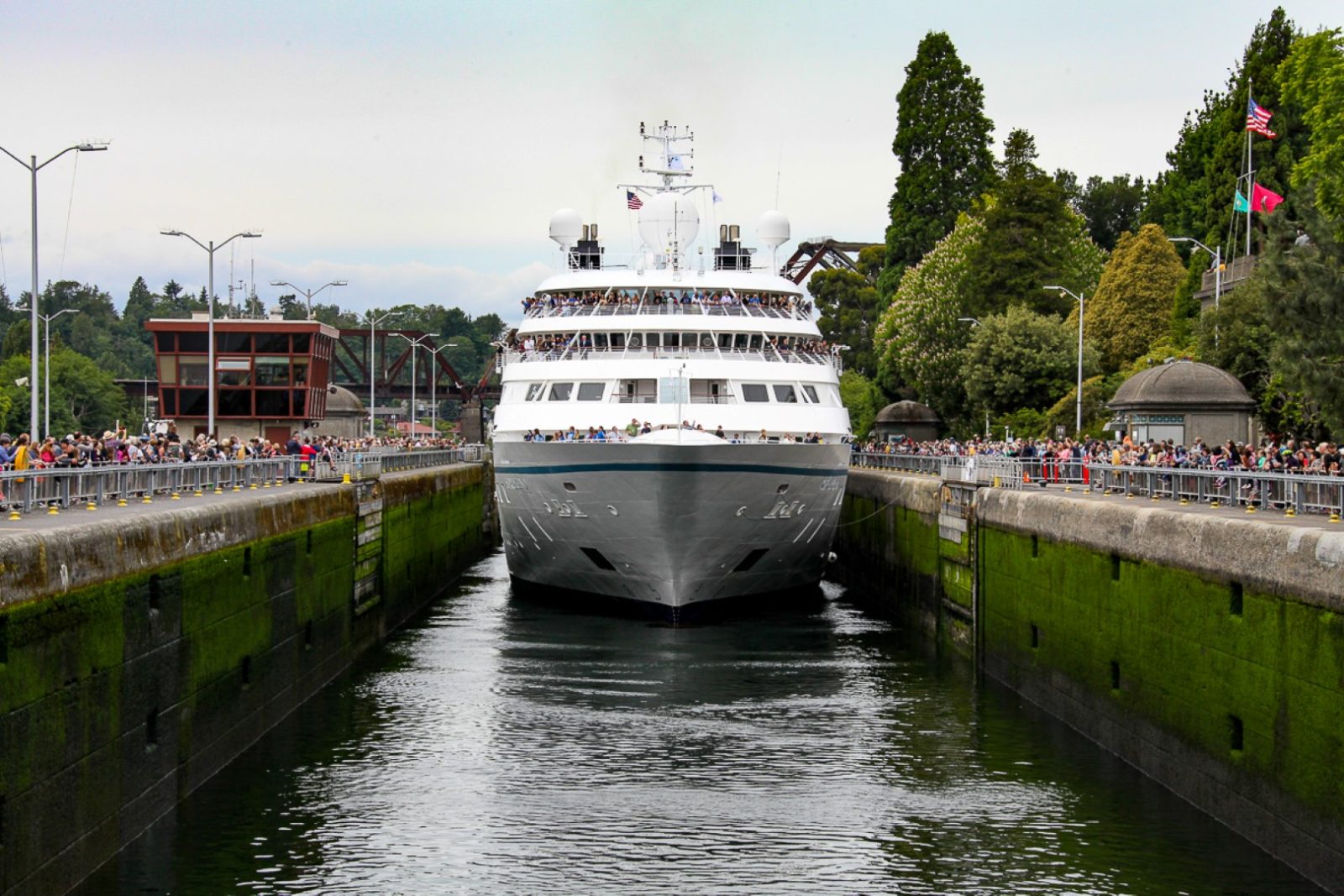 Seattle Locks Cruise