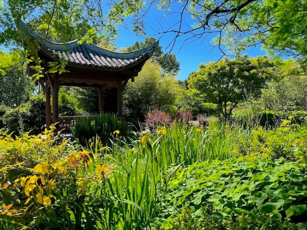 Botanical Garden