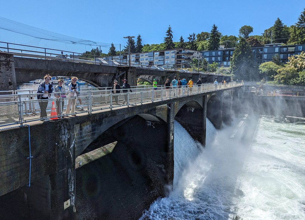Fish Ladder