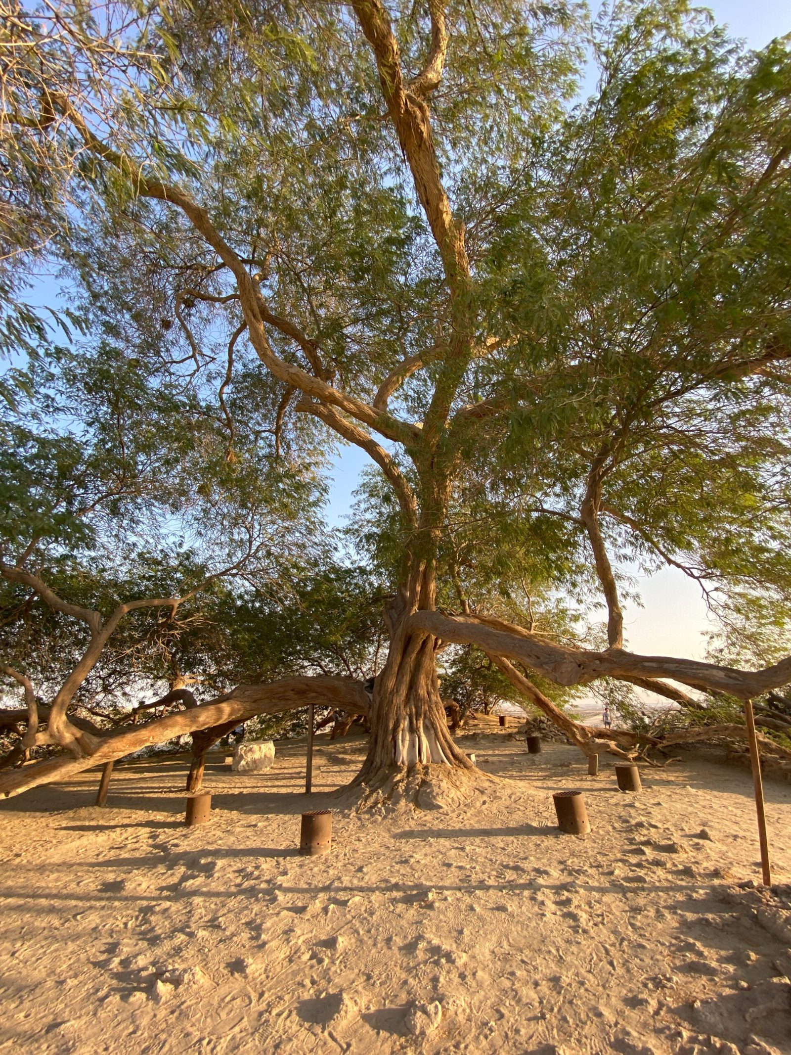 Your experience at Bahrain Desert Tour