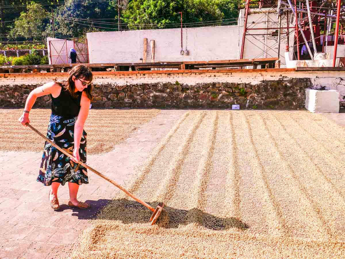 Coffee Tour El Salvador Experience