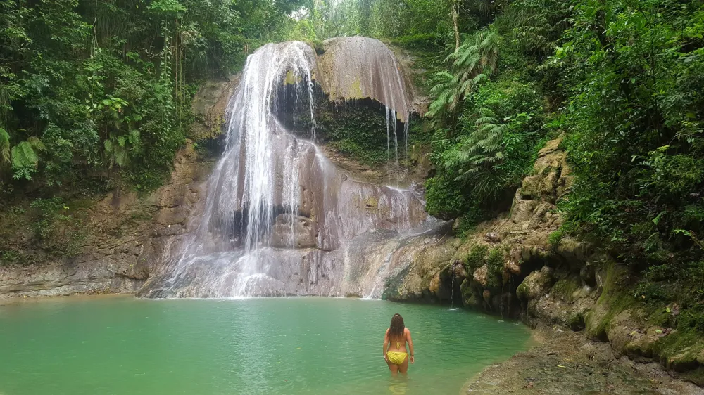 Your experience at Waterfall Tours in Puerto Rico