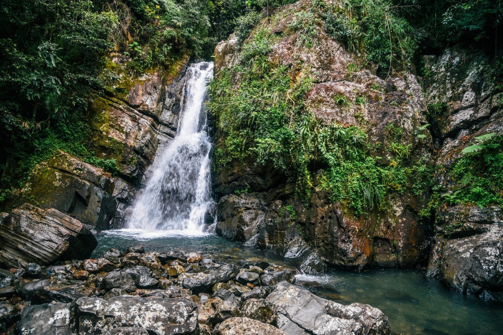 Waterfall Tours in Puerto Rico Overview