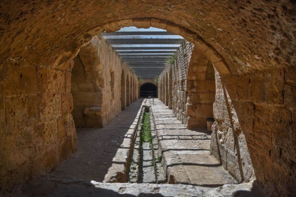 Your experience at El Jem Tour From Hammamet