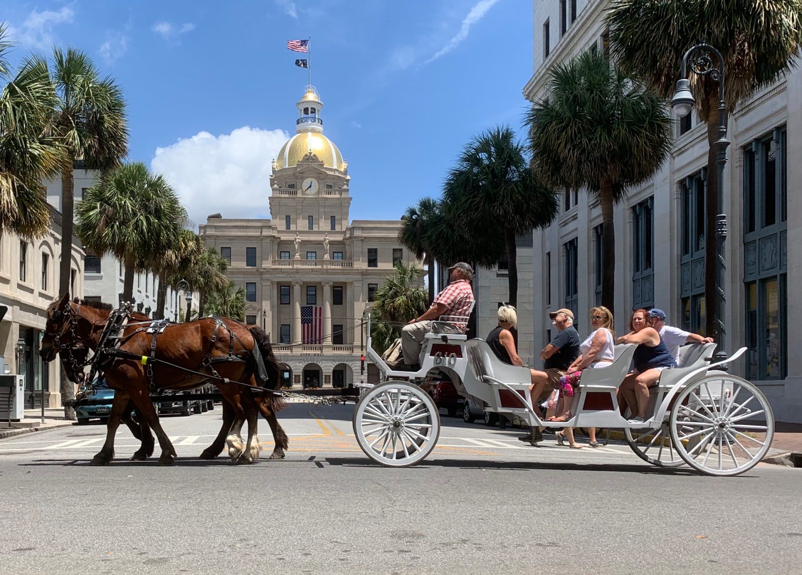Your experience at New Orleans Carriage Rides