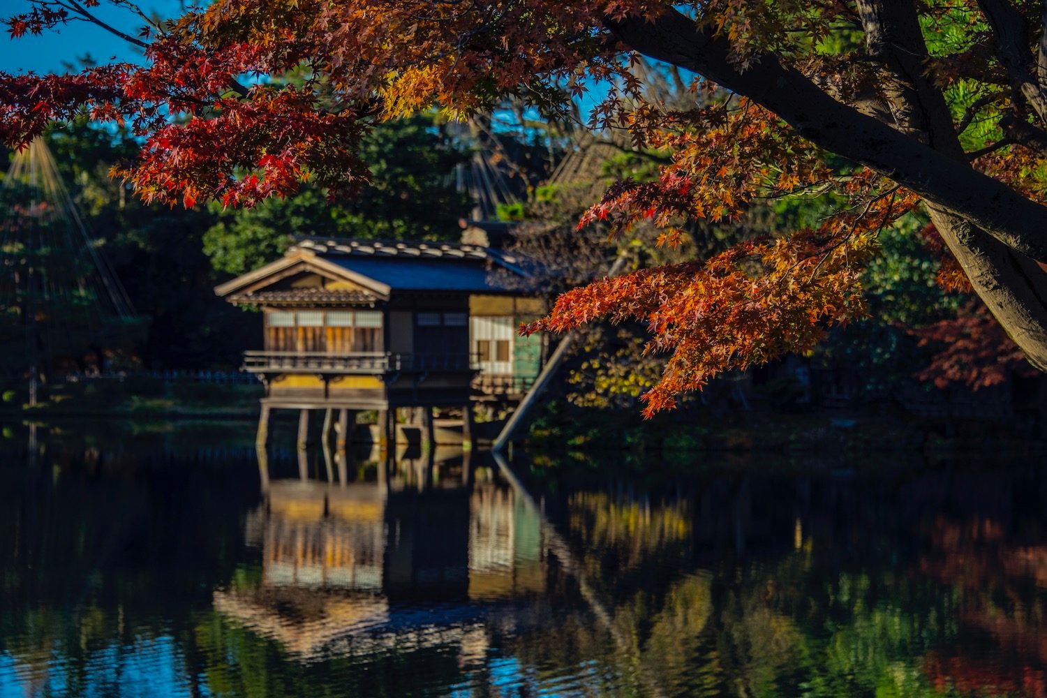 Kenrokuen Tea Ceremony