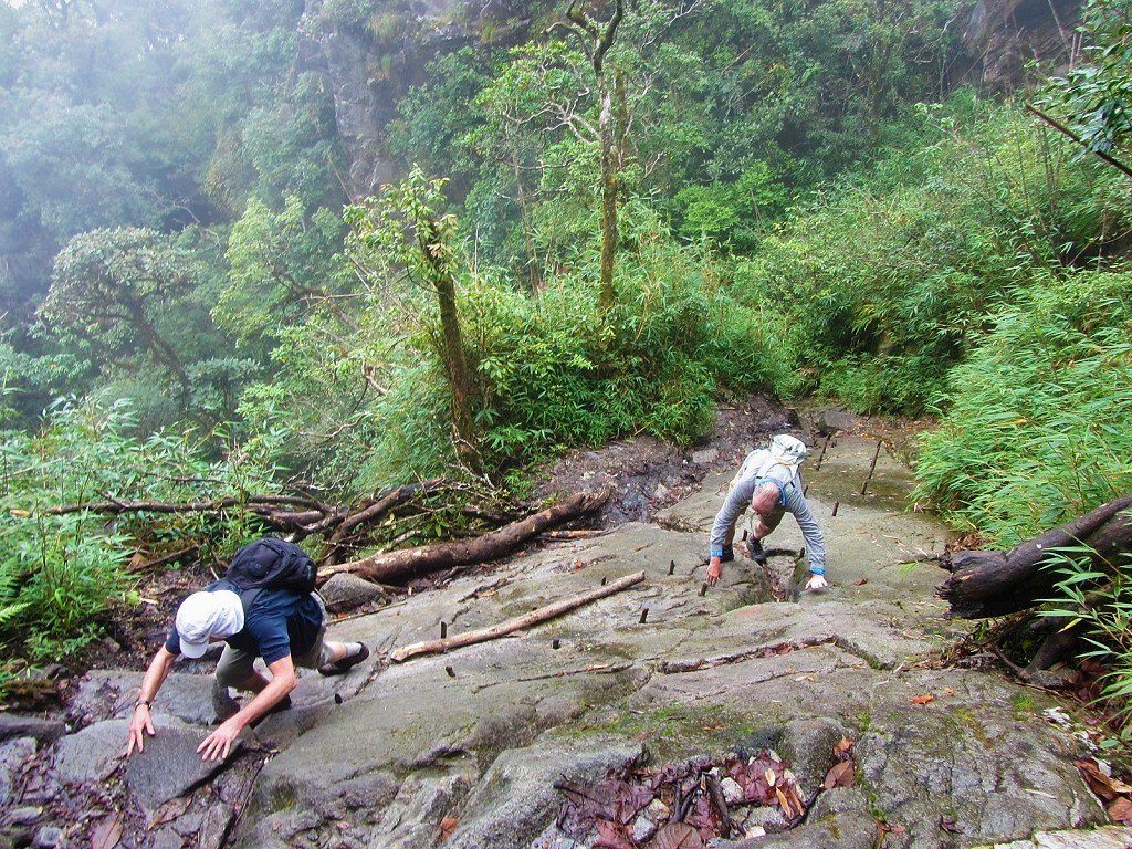 Your experience at Fansipan Trek