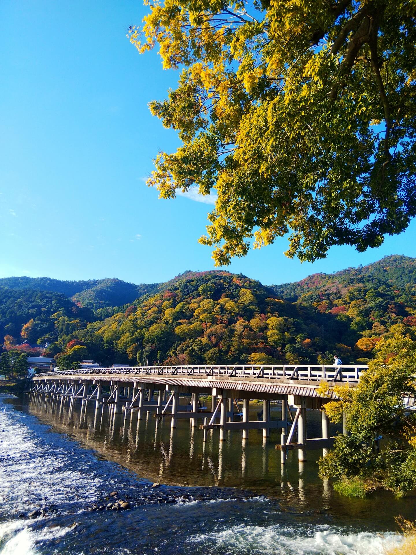 Your experience at Arashiyama Bike Tour
