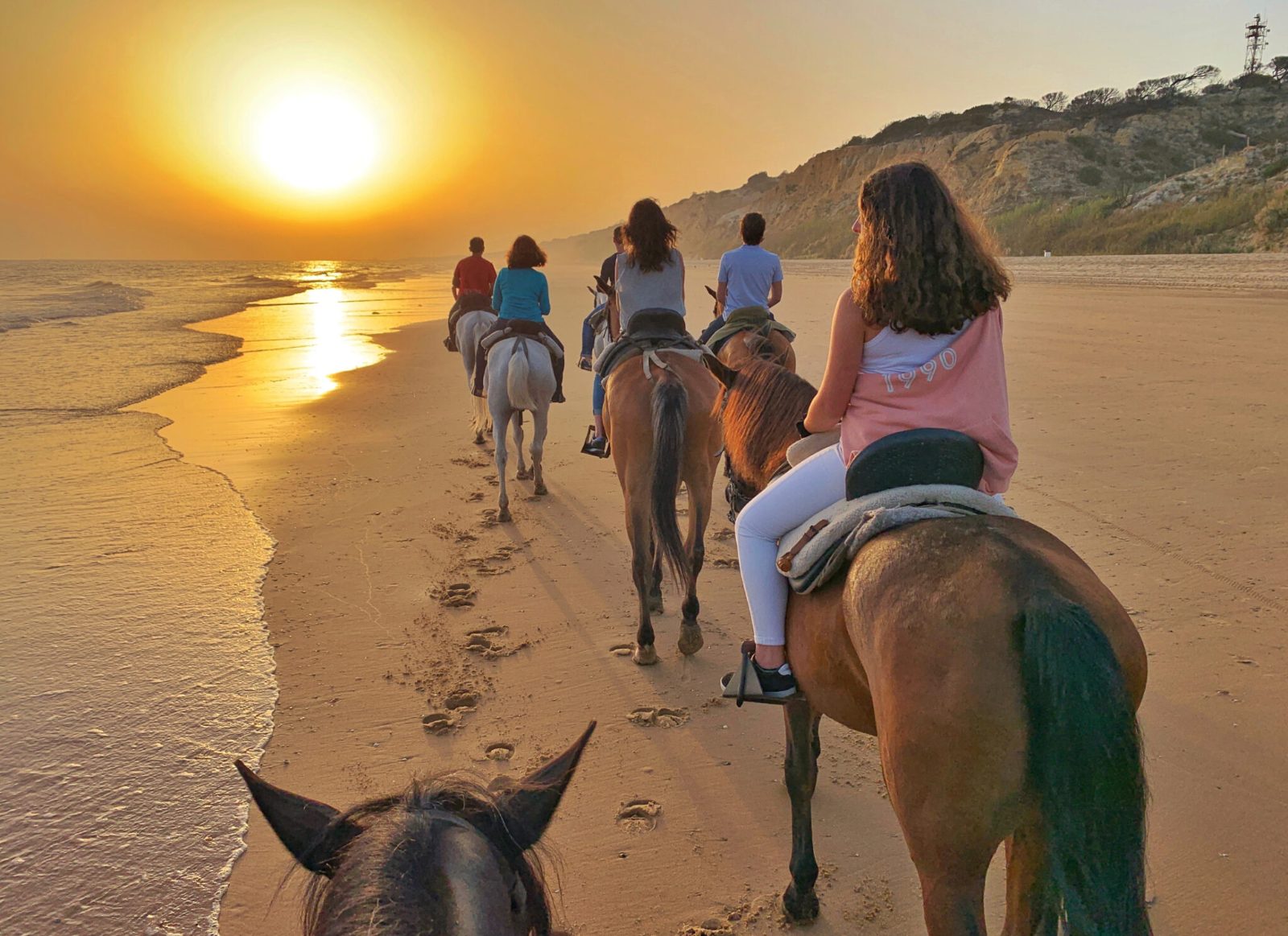 Your experience at Horse Riding Hammamet