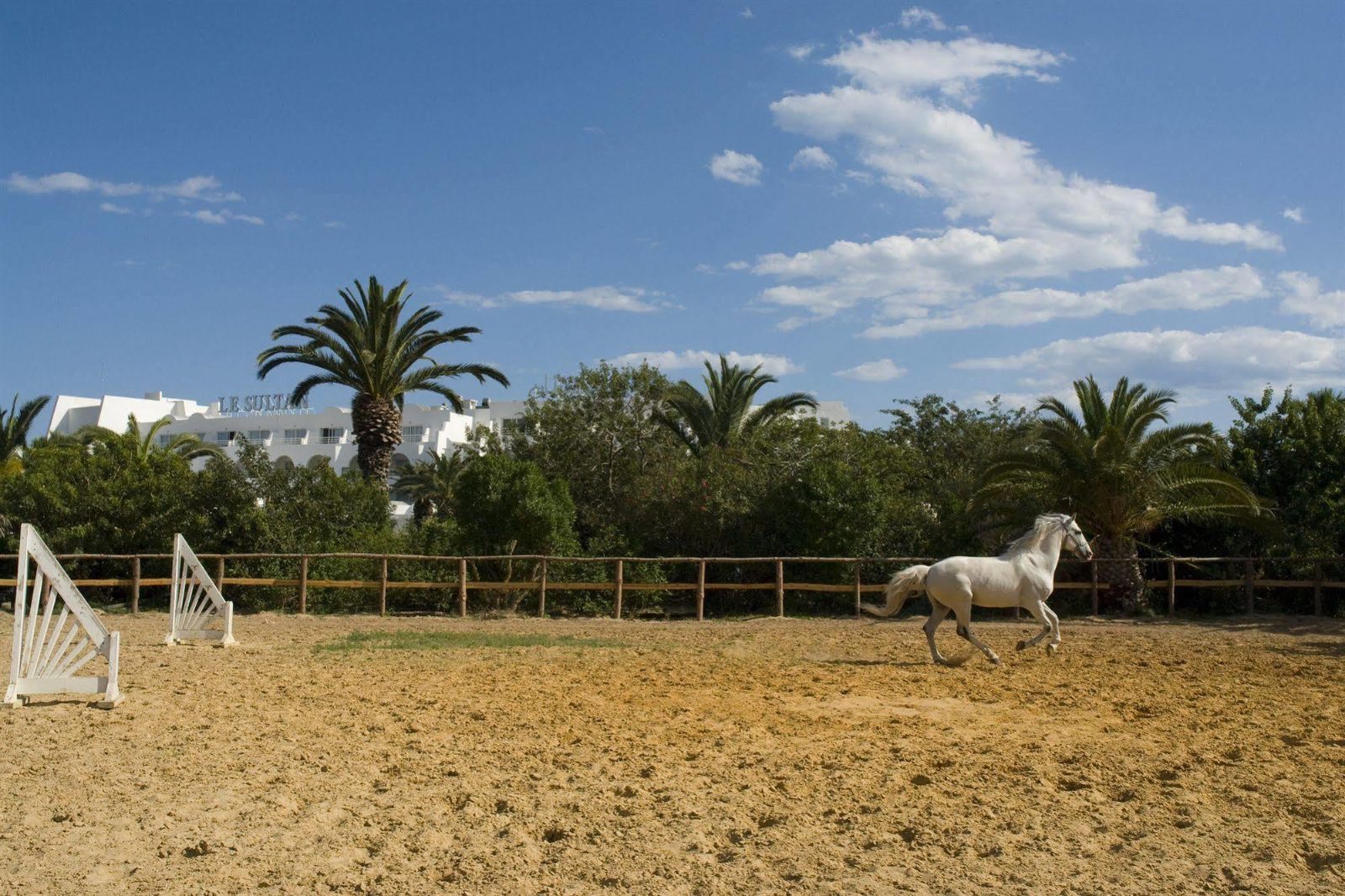 The Riding Arena