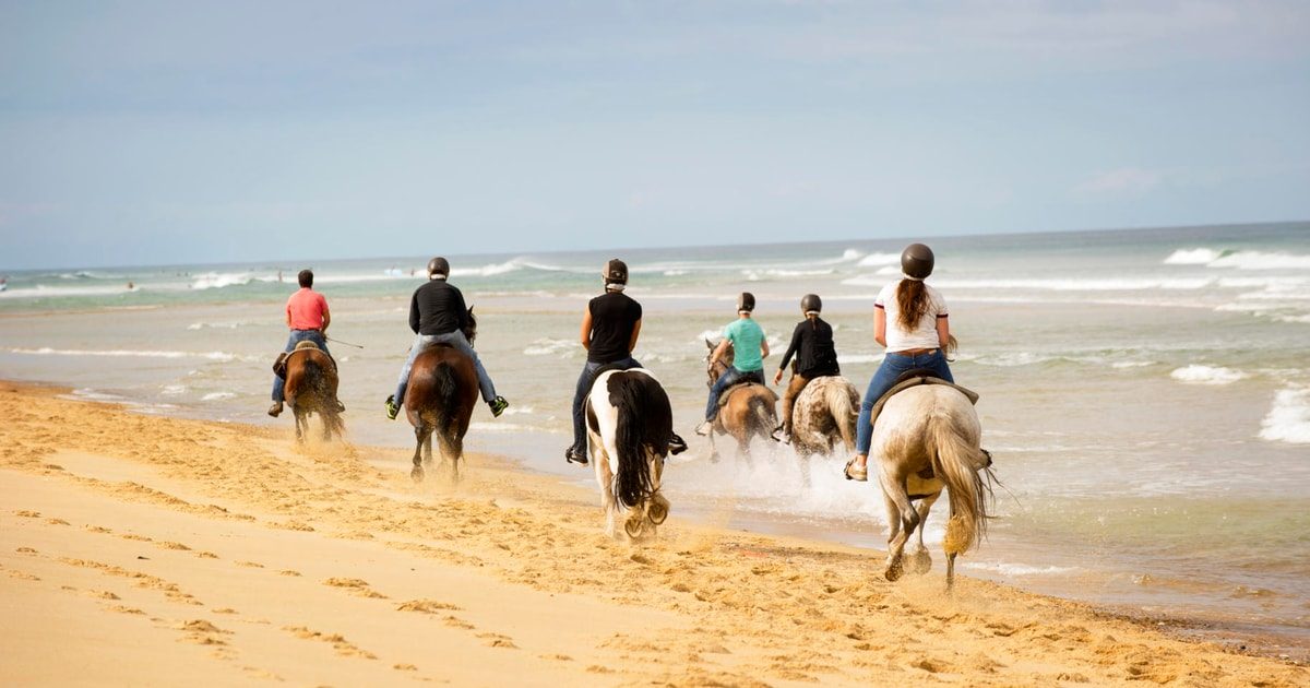 Horse Riding Hammamet