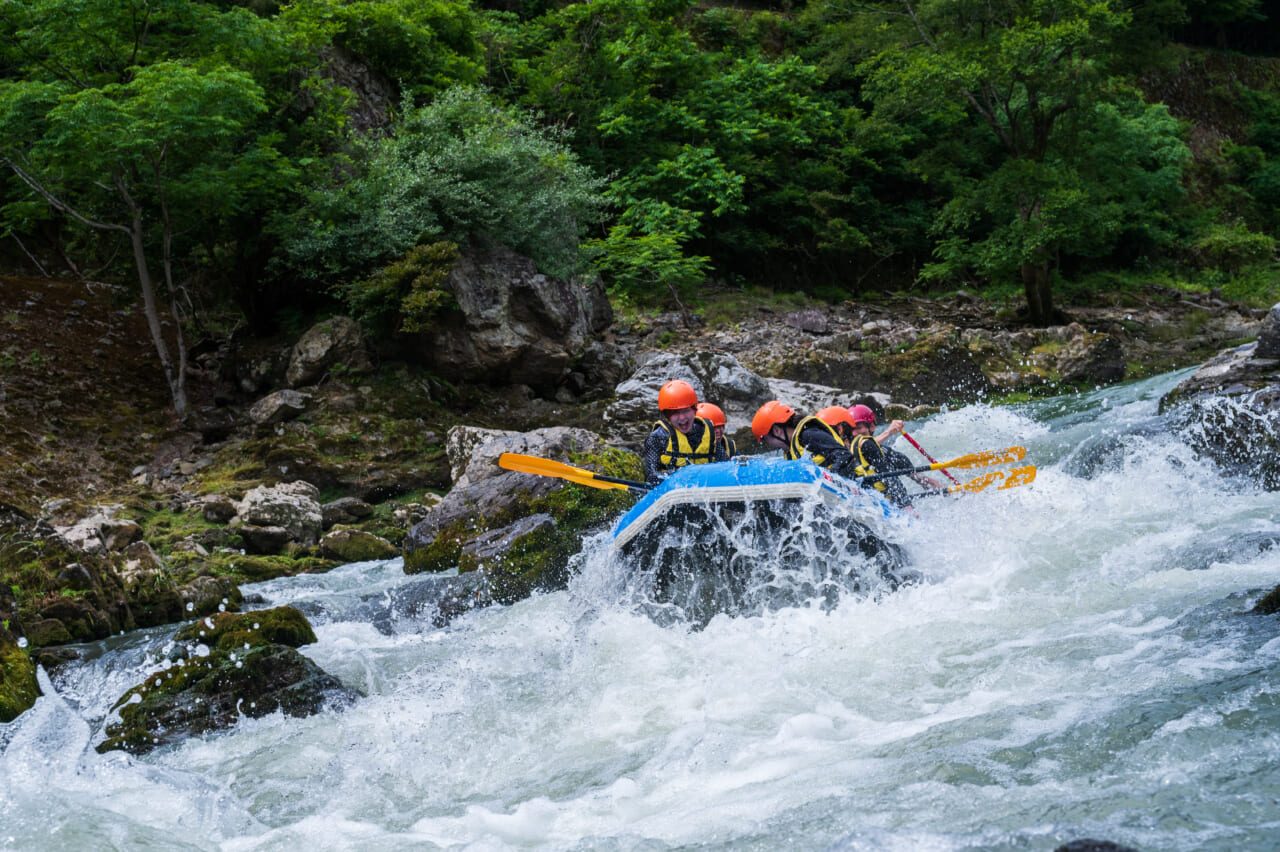Rapid Sections