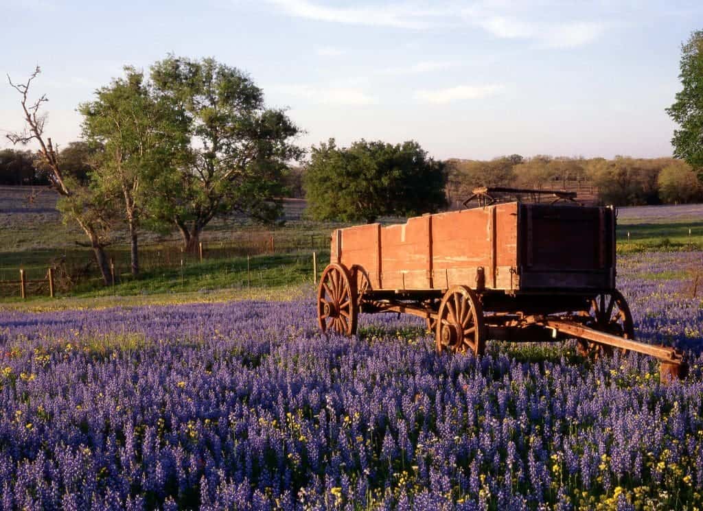 Lbj Ranch Tours