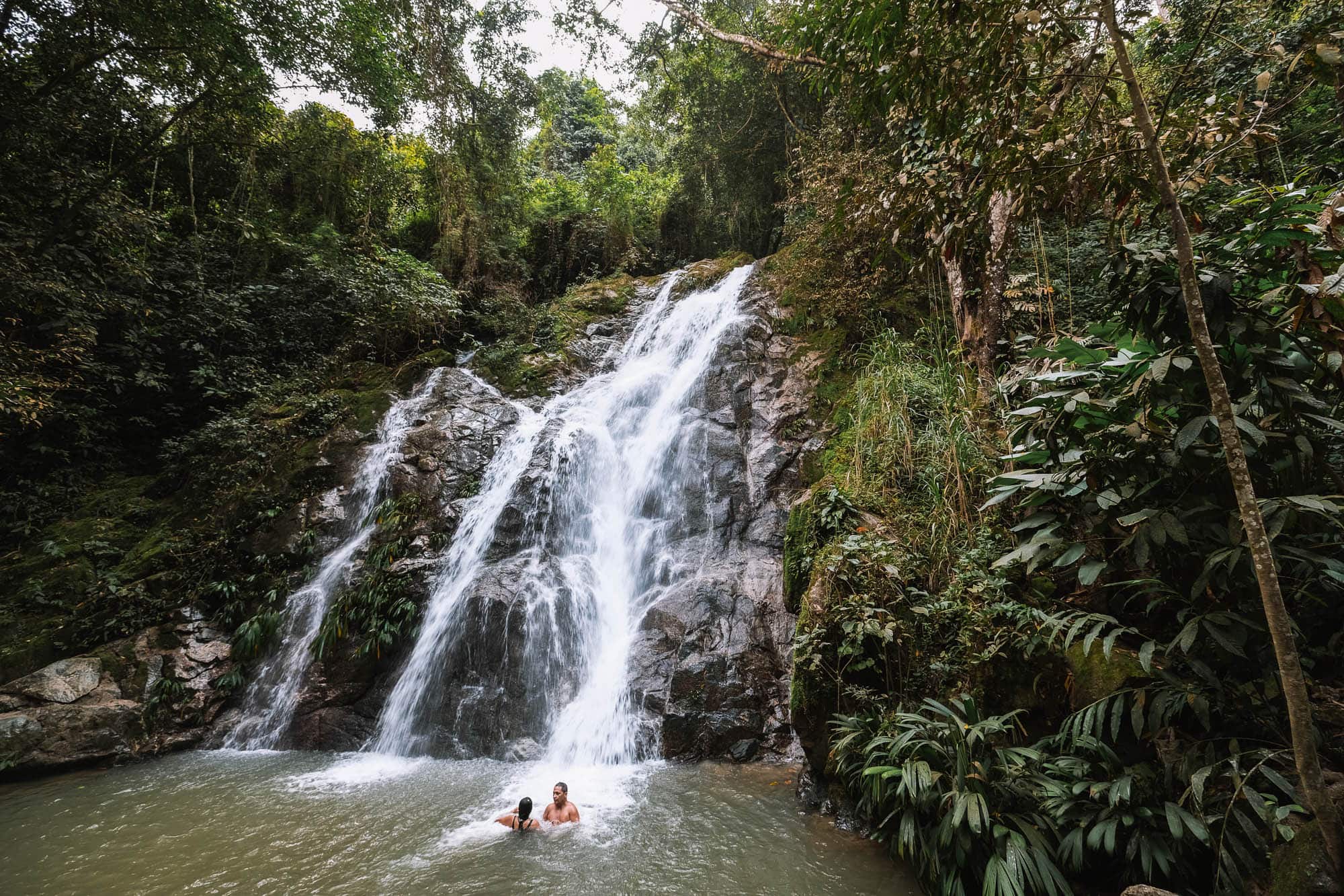 Your experience at Santa Marta to Minca Day Trip