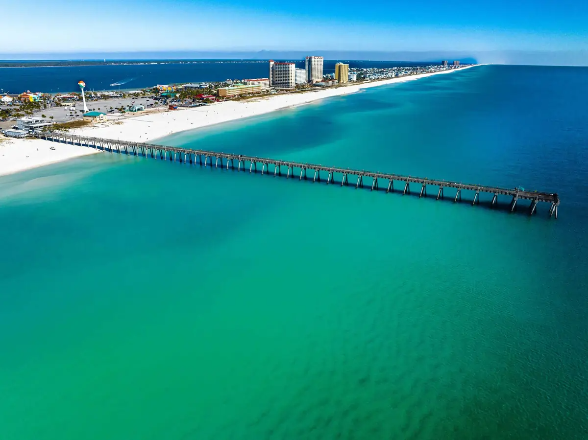 Pensacola Beach Dolphin Cruise Overview