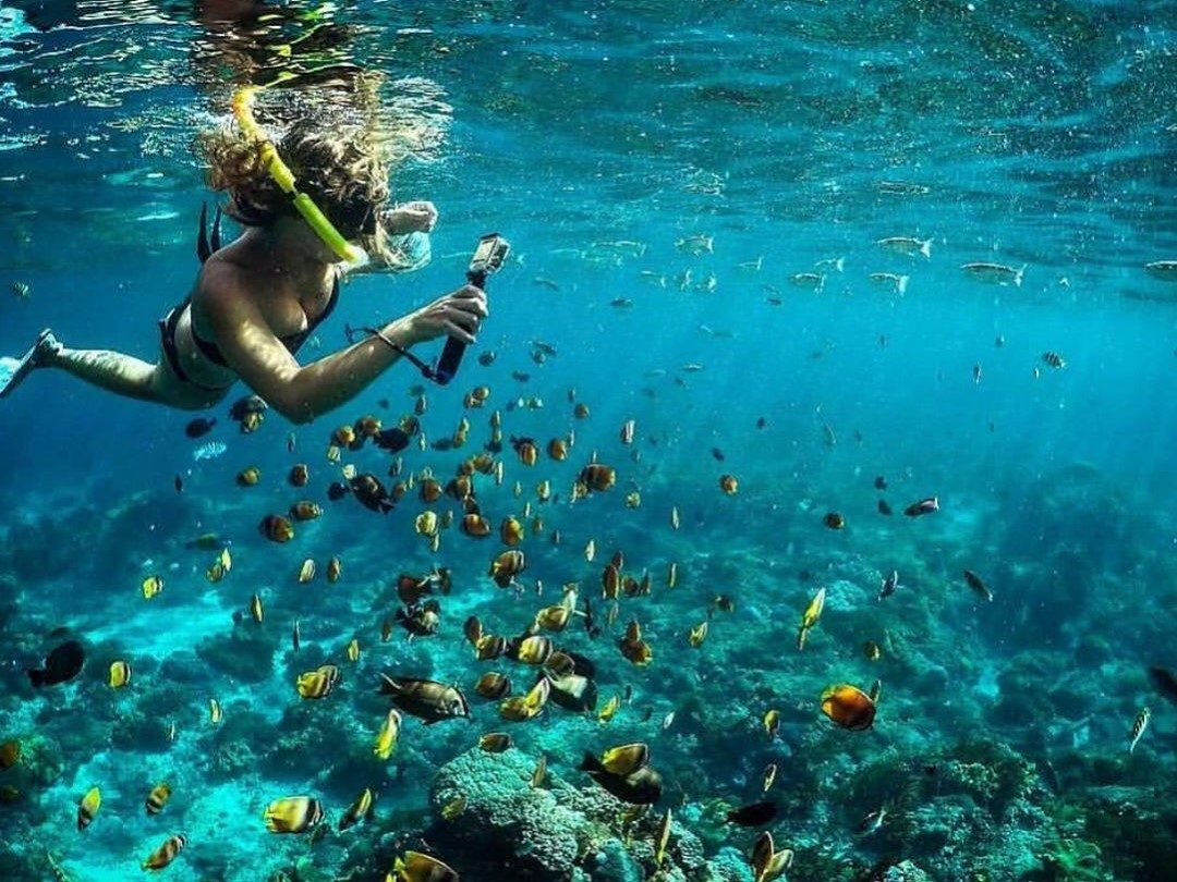 Snorkeling