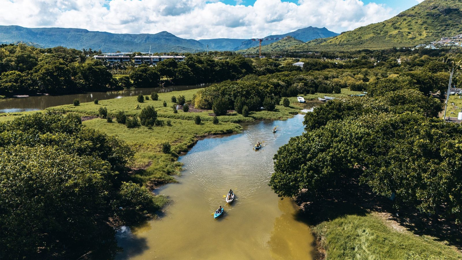 Tamarin River Kayak Through Mangrove Channels