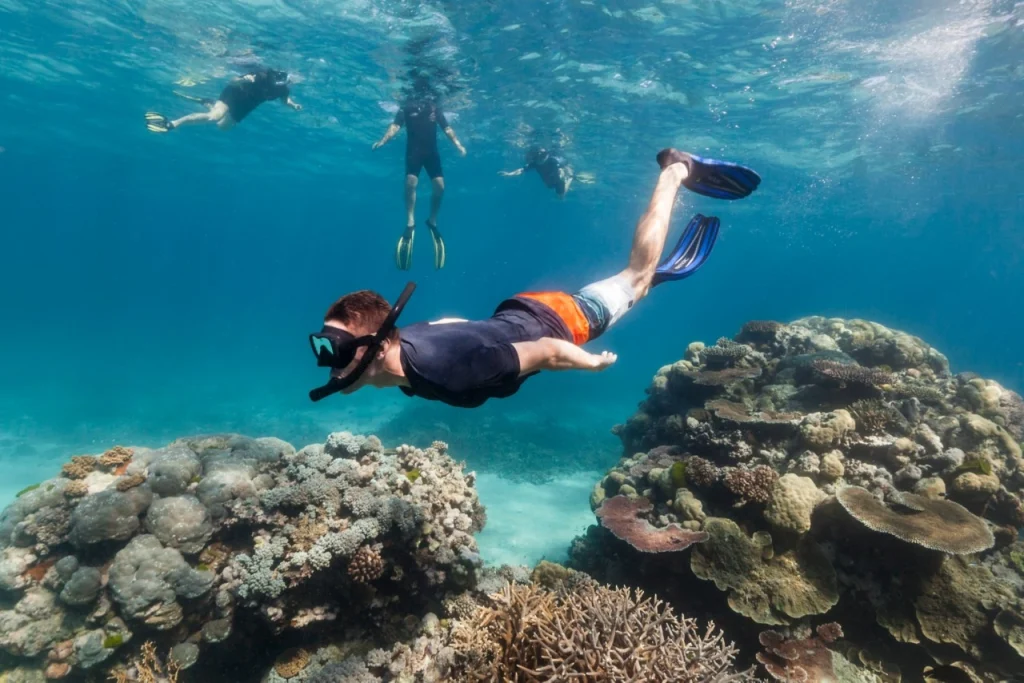 Your experience at Tiran Island Boat Trip