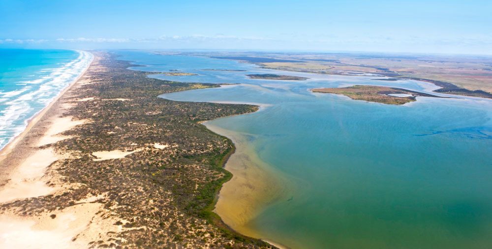 Coorong Cruises Through Coastal Wetlands