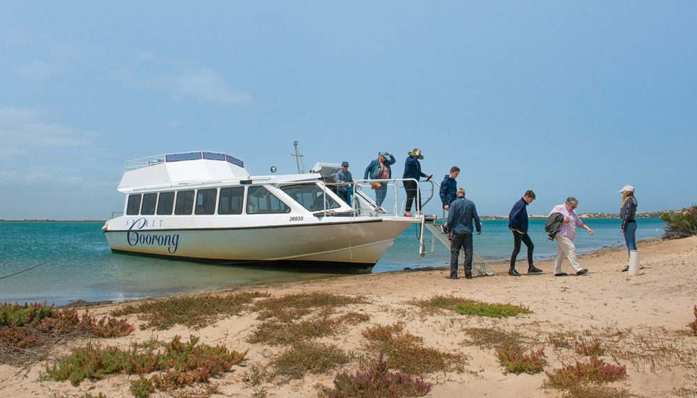 Your experience at Coorong Cruises
