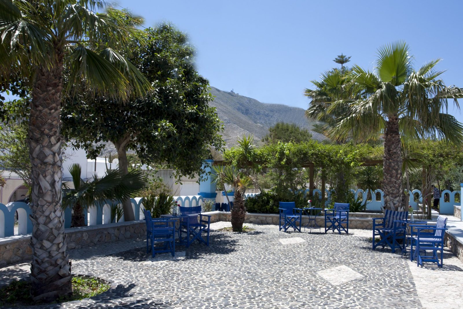Greek Night Kamari at Dimitris Tavern