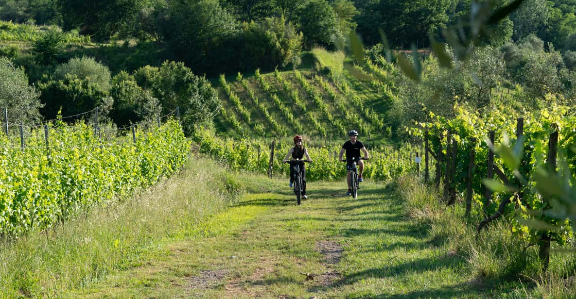 Montecatini Wine Tour