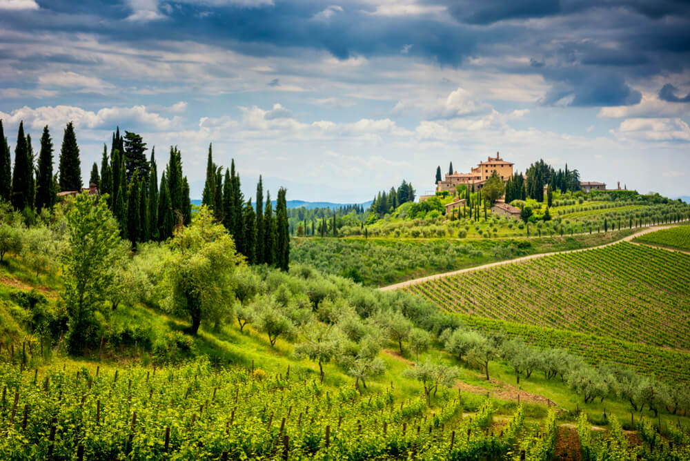 Montecatini Wine Tour Experience