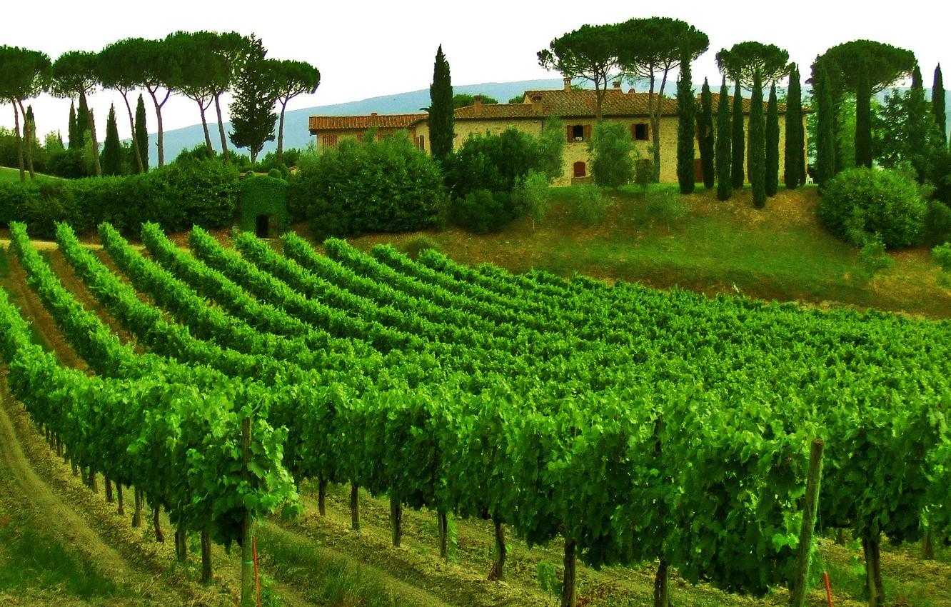 Vineyard Estates