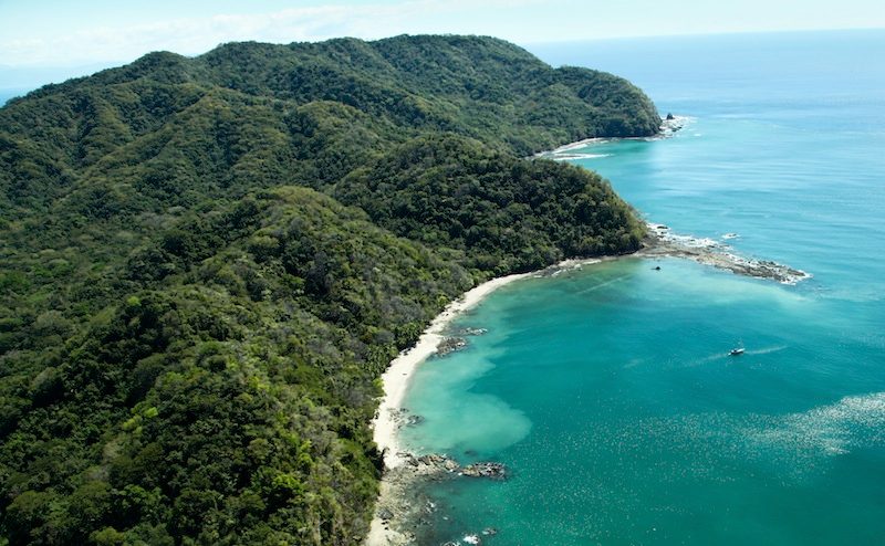 Paquera Bioluminescence Tour Experience