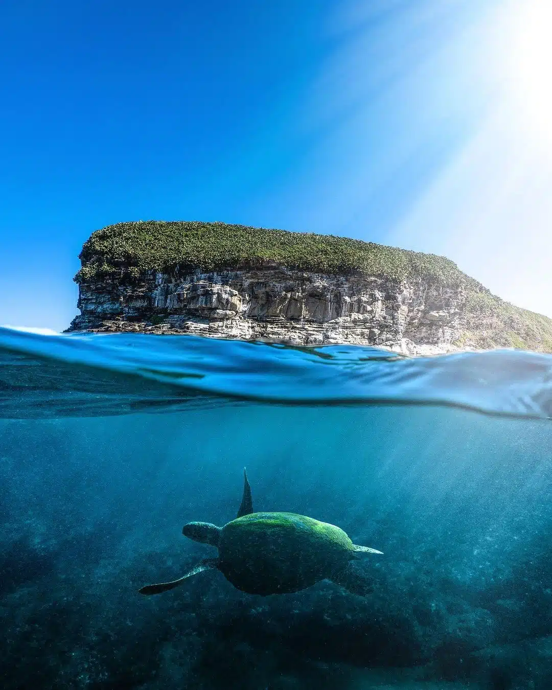 Mudjimba Island Snorkeling