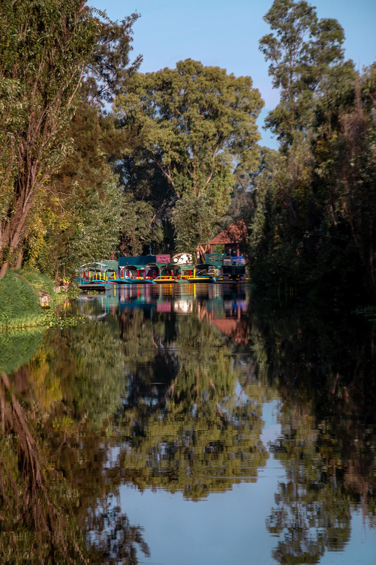 Xochimilco Guesthouses