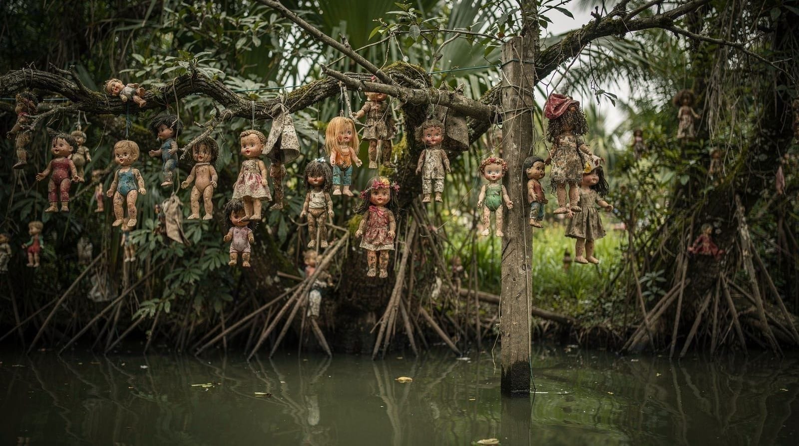 Island of the Dolls Tour