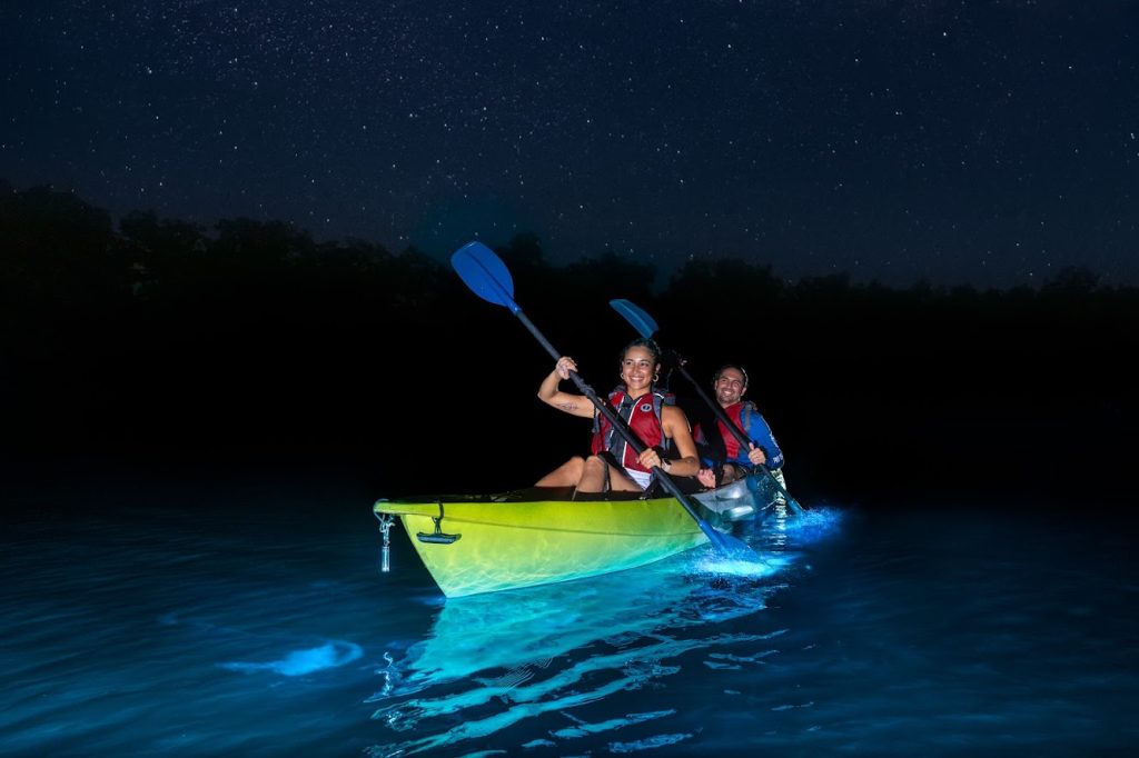 Your experience at La Parguera Sunset Cruise