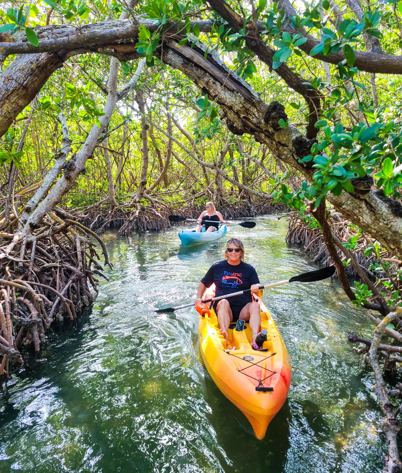 Your experience at St Thomas Mangrove Kayak Tour