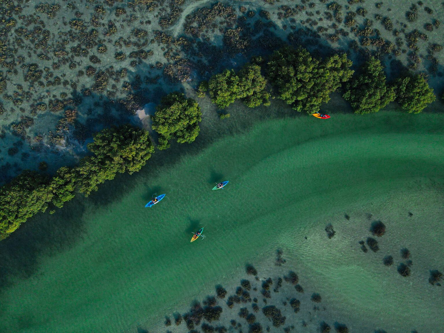 St Thomas Mangrove Kayak Tour Overview