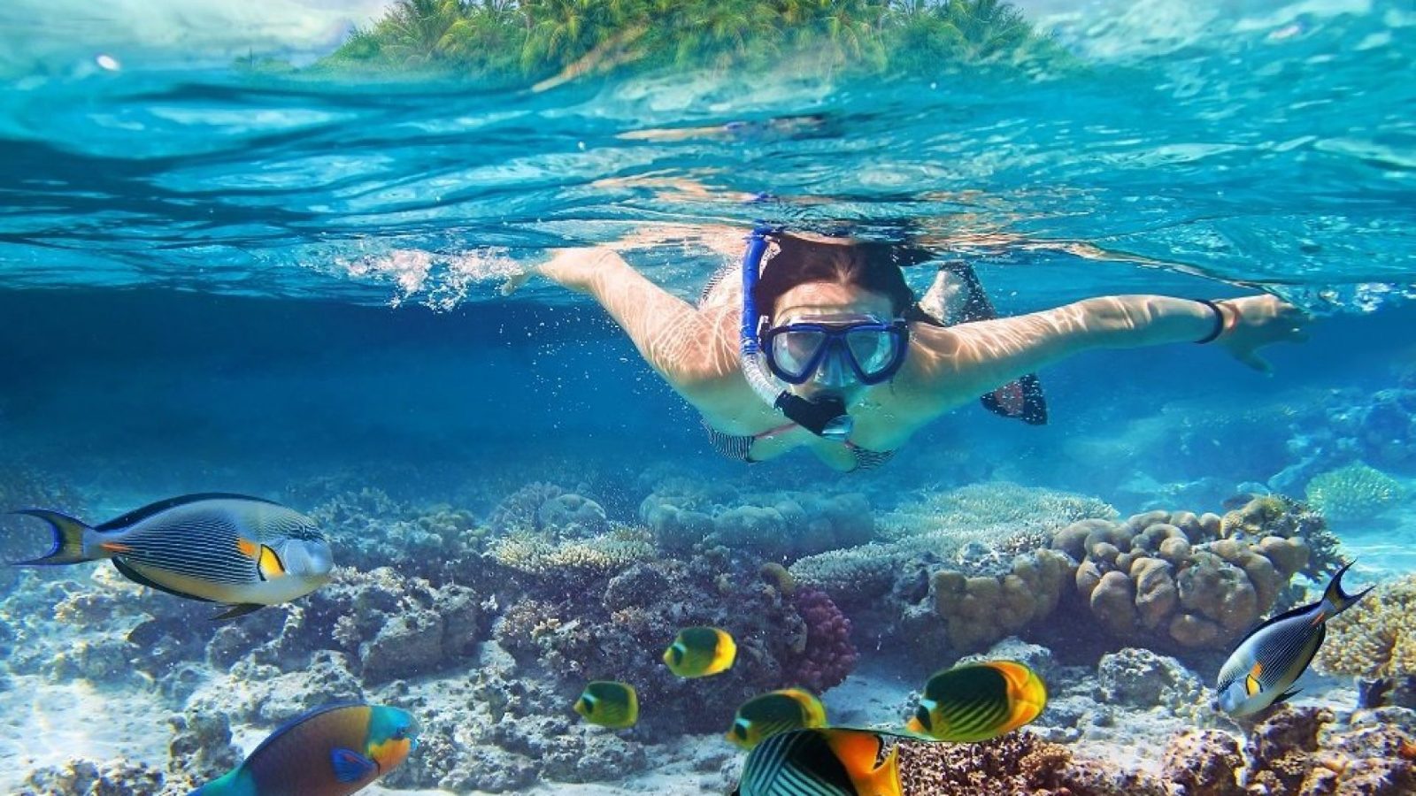 Your experience at Tumbatu Island Snorkeling