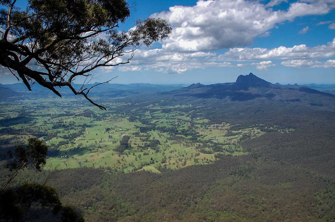 Border Ranges Backdrop