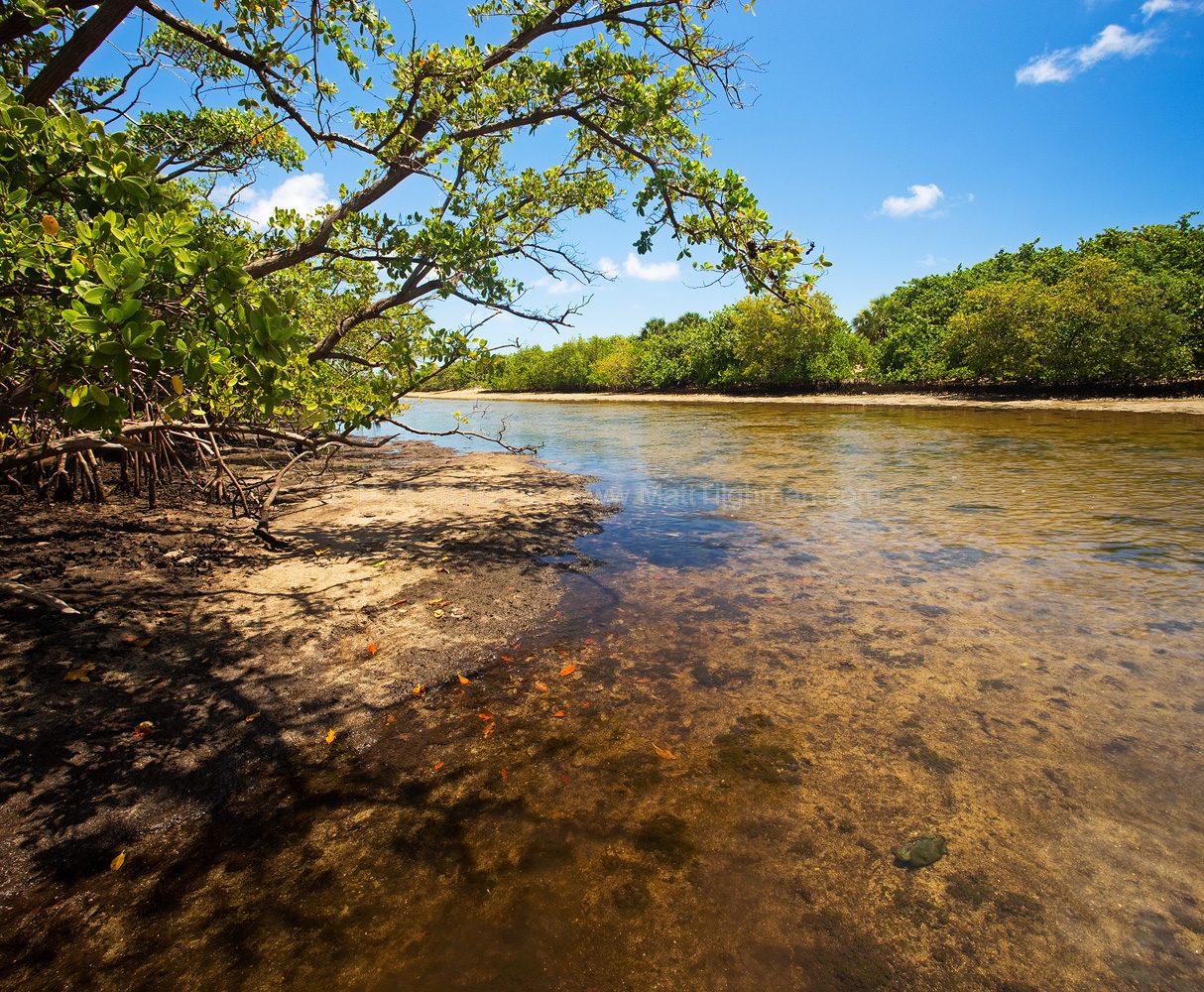 Tweed River Cruises Along the Caldera Coast