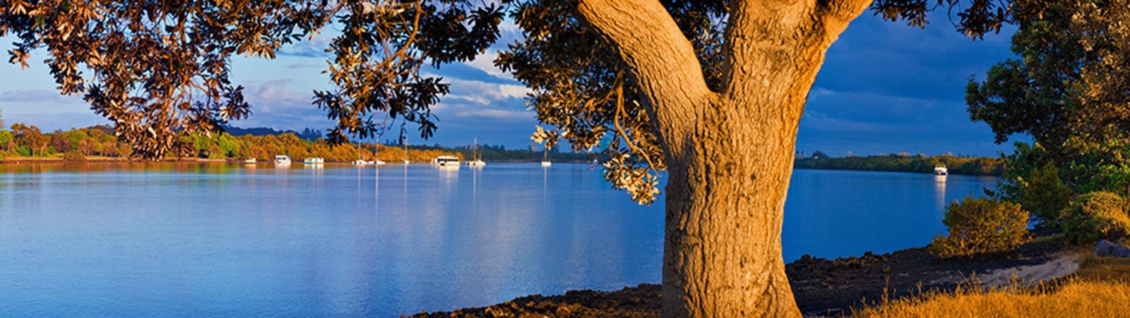 Tweed River Estuary