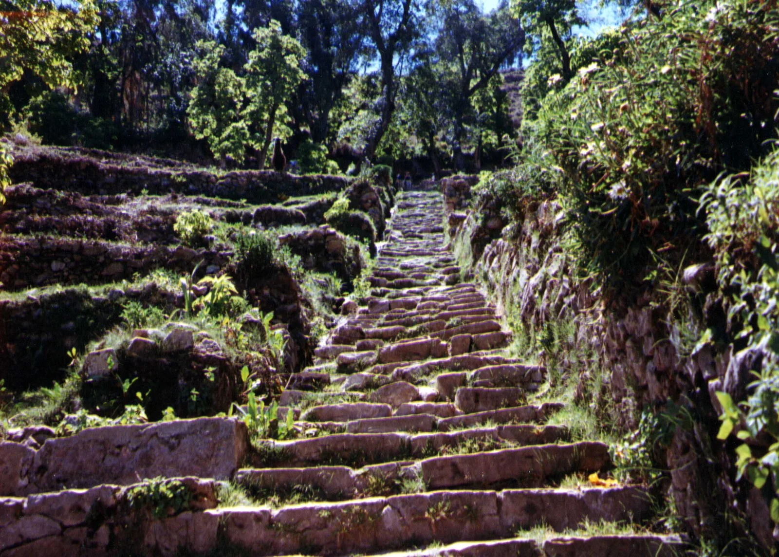 Yumani Steps