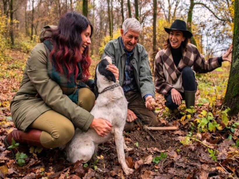 Langhe Truffle Hunting Tour