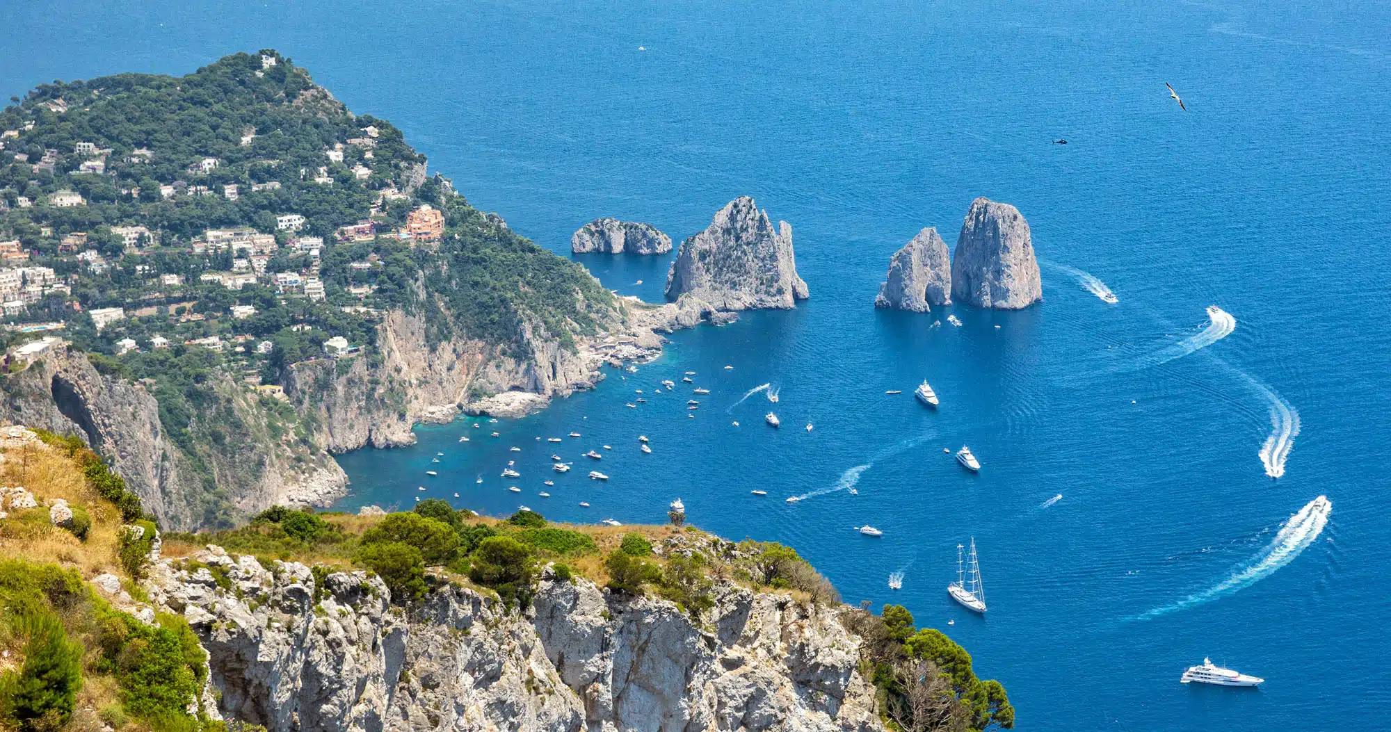 Capri Silhouette