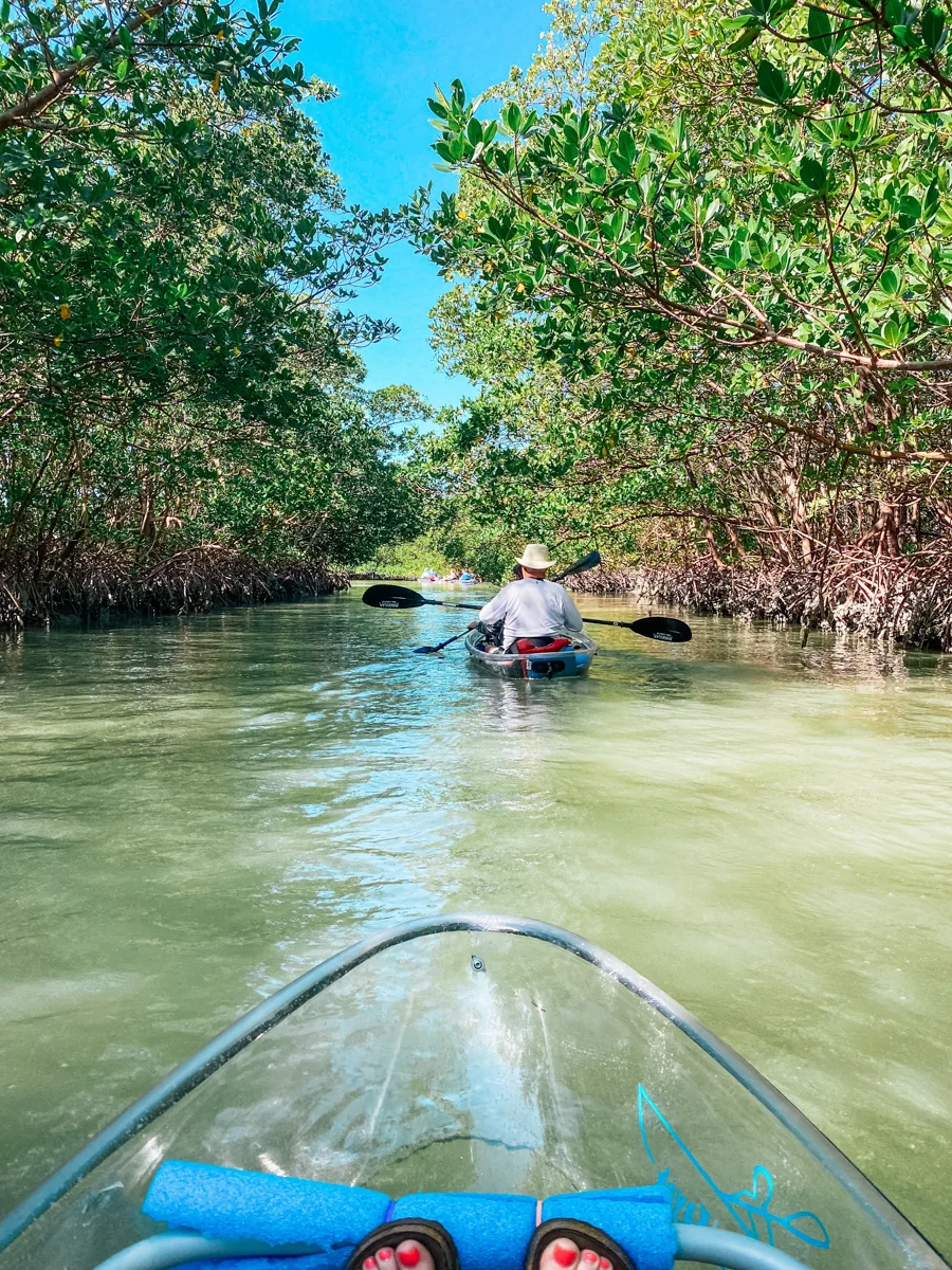 Holbox Kayak Tour