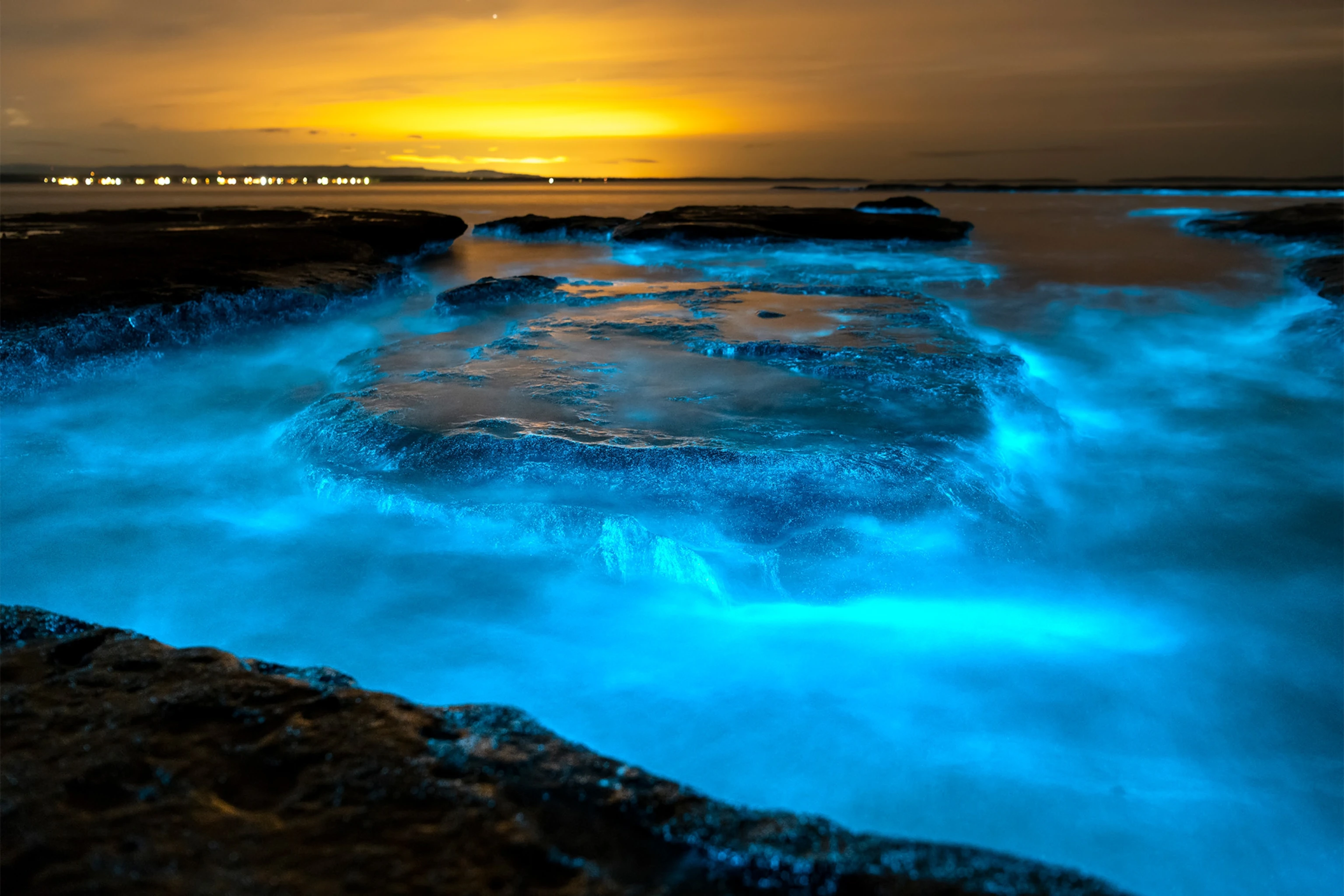 Bioluminescent Zones
