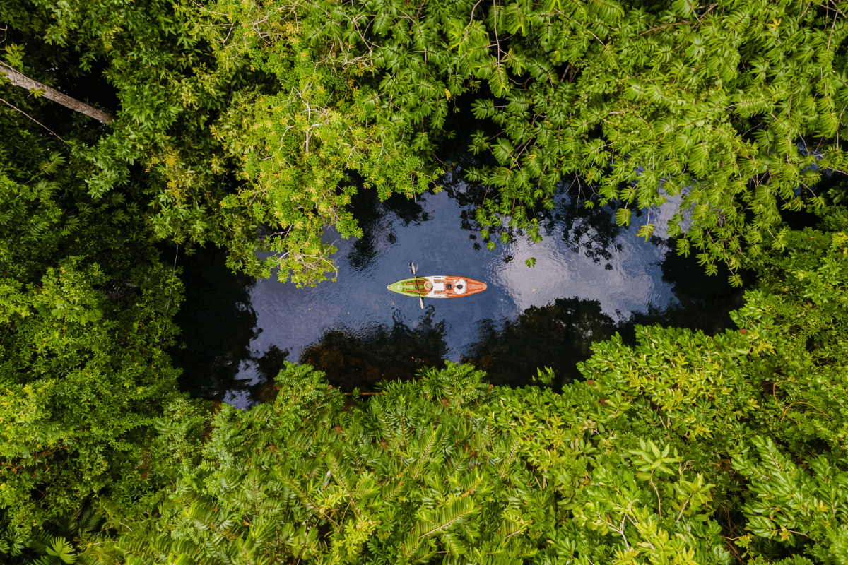 Holbox Kayak Tour Through Pristine Lagoons