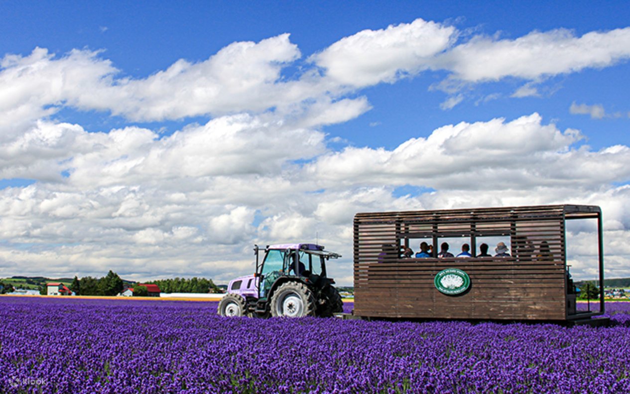 Lavender East